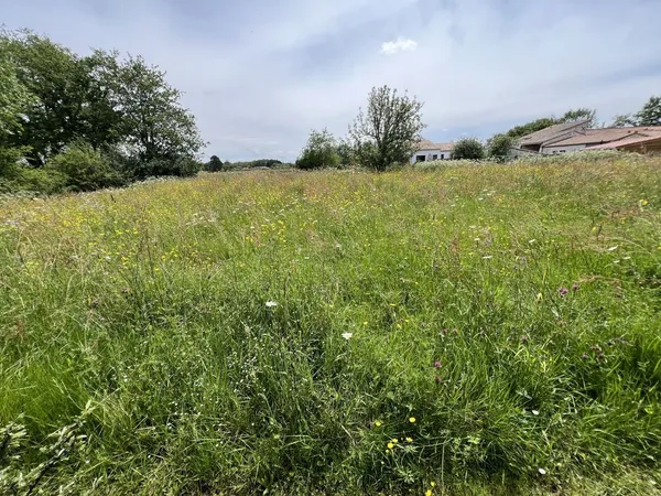 Terrain 4000 m²