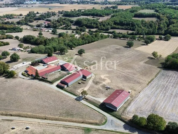 Programme immobilier à vendre Haget