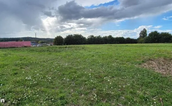 Terrain 9994 m² Lamnay