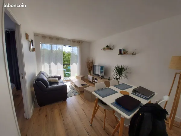 Chambre dans colocation