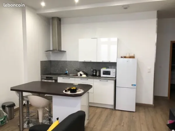 À louer - Bel appartement T2 de 43 m² entièrement rénové à neuf
