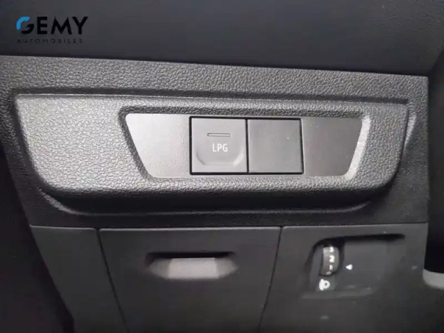 Dacia Sandero eco-g 100 — photo 31