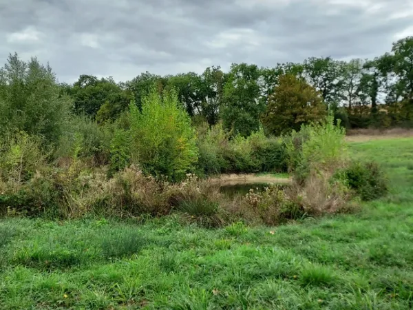 Terrain 1860 m²