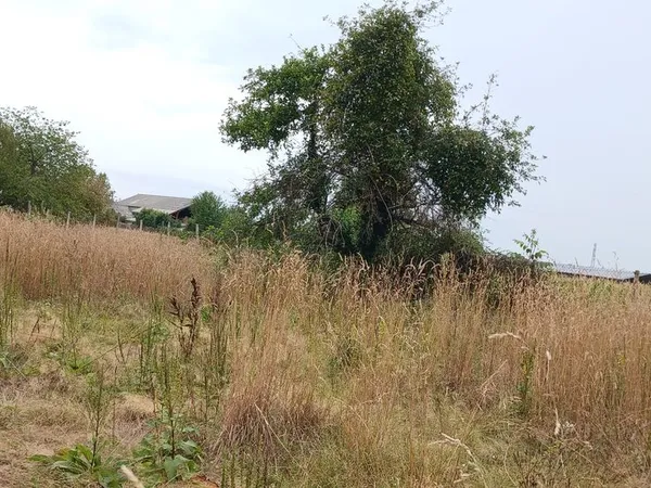Terrain à batir