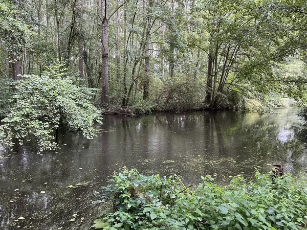 Terrain de loisirs calme arboré