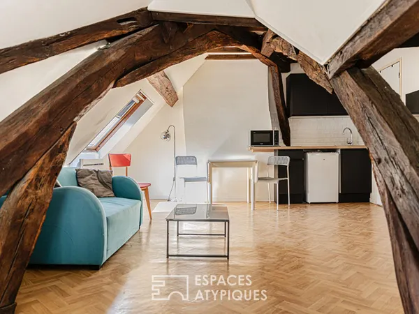 Spécial investisseur en centre ville d'Orléans