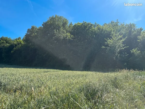 Vente parcelles de bois