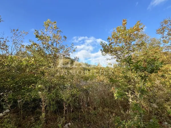 Domaine forestier de 2 hectares, à vendre - secteur Soligny la Trappe, Réf M14215