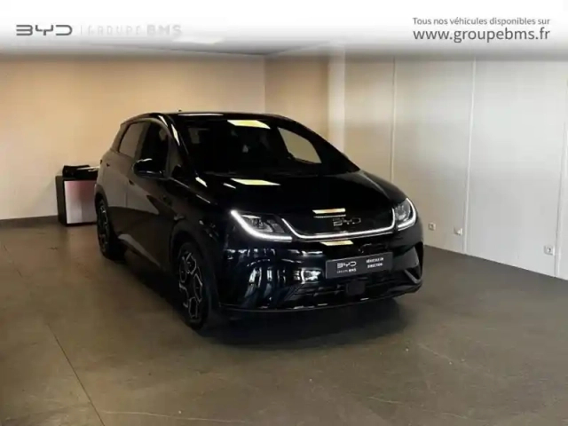 Byd Dolphin 204ch - 60,4 kwh design