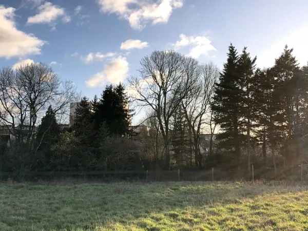 Terrain 450 m²