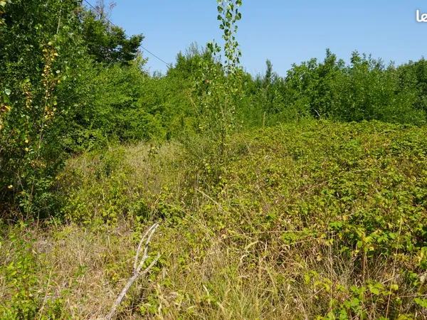 À VENDRE - 2 terrains de 1 000 m² chacun