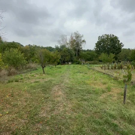 Location terrain bord de vienne