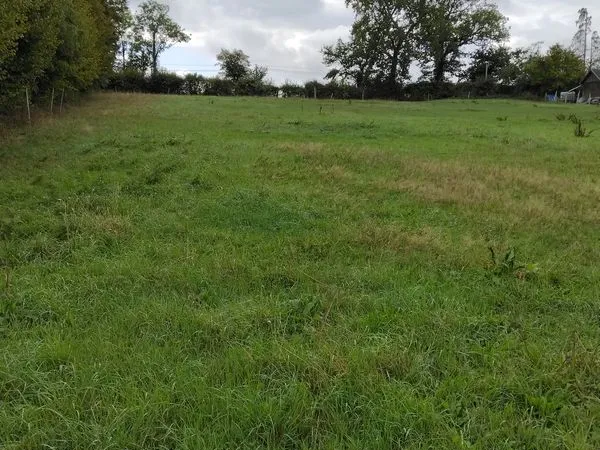 Herbage location
