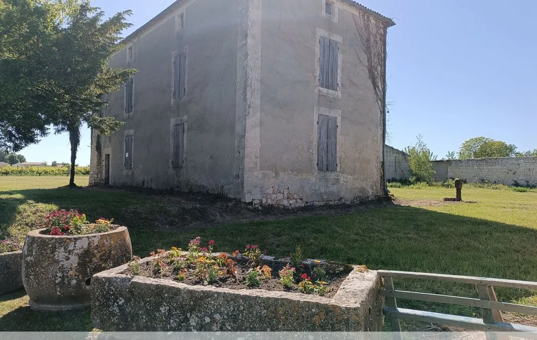 Photo 18