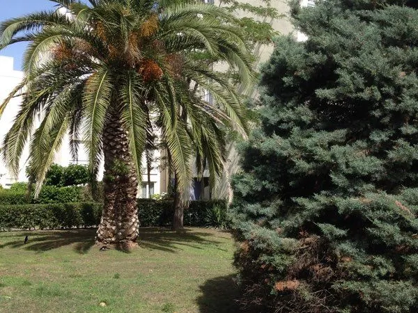 Studio meublé 27m² a l année quartier ponant