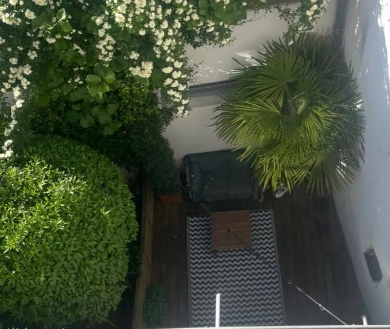 Photo 3