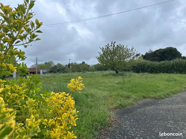 Terrain à bâtir non viabilisé 1325 m2
