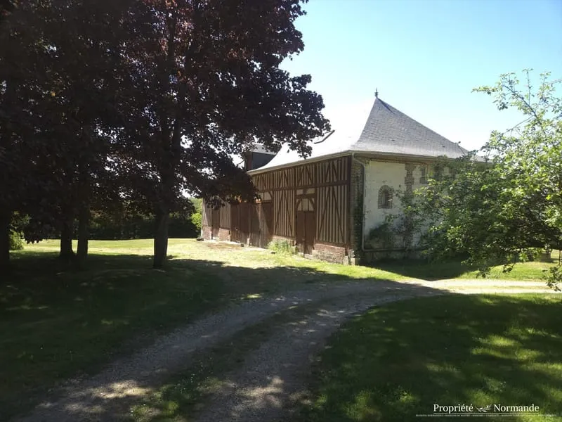 Photo 23