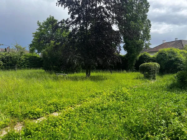 Terrain viabilisé de 887 m² à Colmar