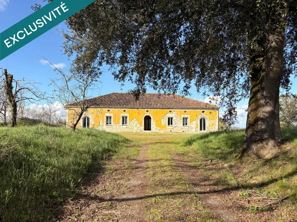 Propriété en pierre  360 m²  1,5 hectare  Oliviers  Projet d'exception à finaliser