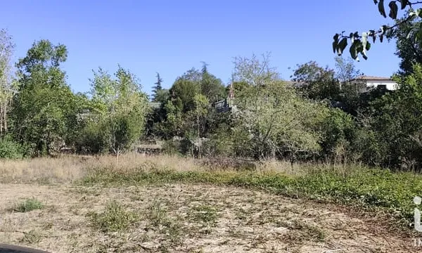 Terrain 3905 m²