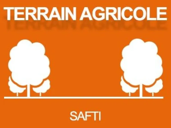 Terrain agricole Saint Plantaire