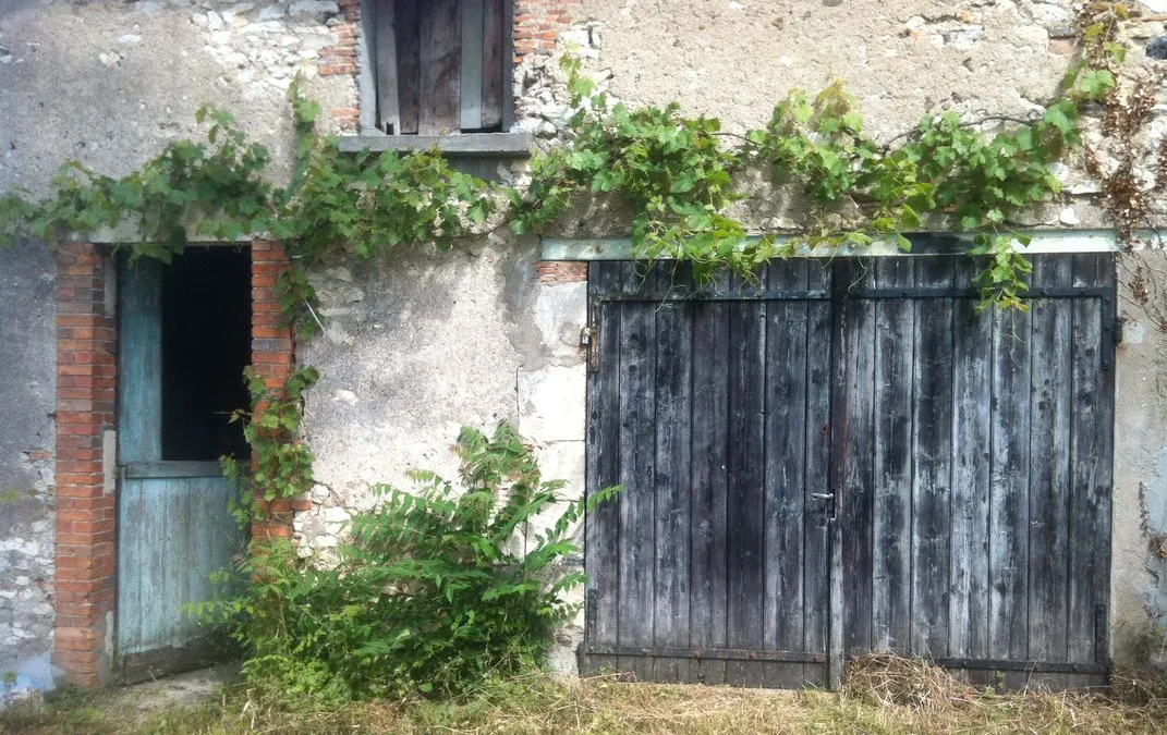 Photo 1