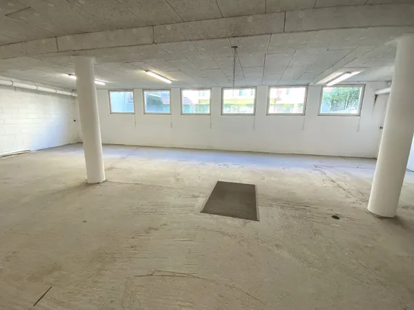 Local professionnel 315 m²