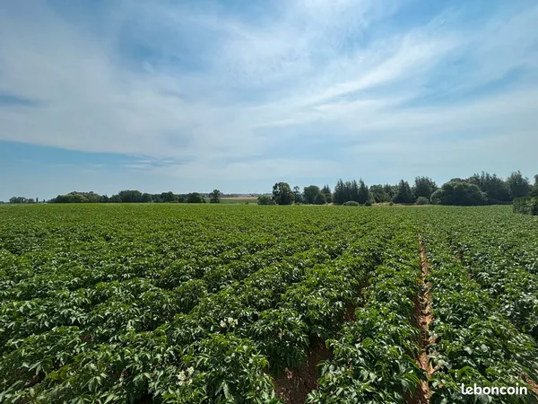 25 terrains à bâtir - Steenvoorde