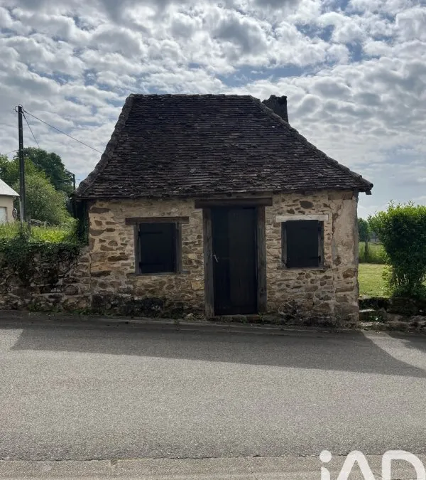 Photo 17