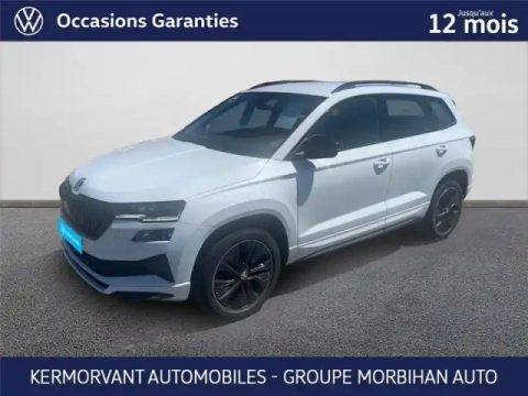 Skoda Karoq 2.0 tdi 116 ch scr dsg7