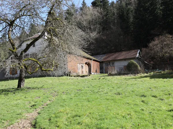 Maison paysanne au caractère fort avec 3,7 ha de terrain