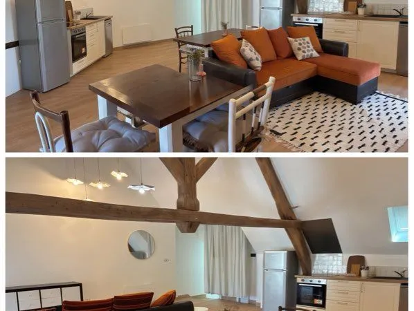 Appartement T4 meublé - esprit loft