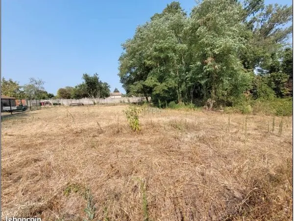 Terrain constructible arboré