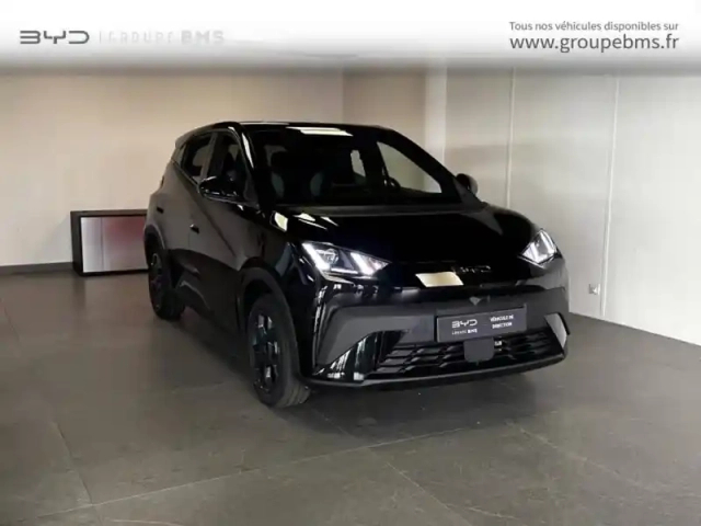 Byd Dolphin Surf 156ch - 43,2 kwh comfort