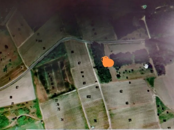 Terrain boisé