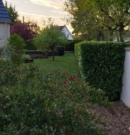 Terrain 440 m²