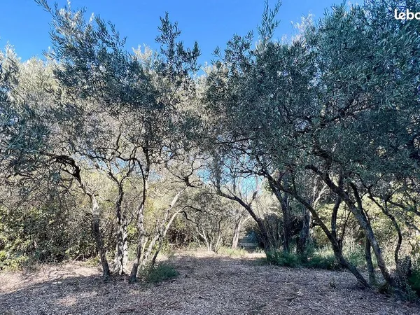 Terrain 540 m² JONQUERETTES