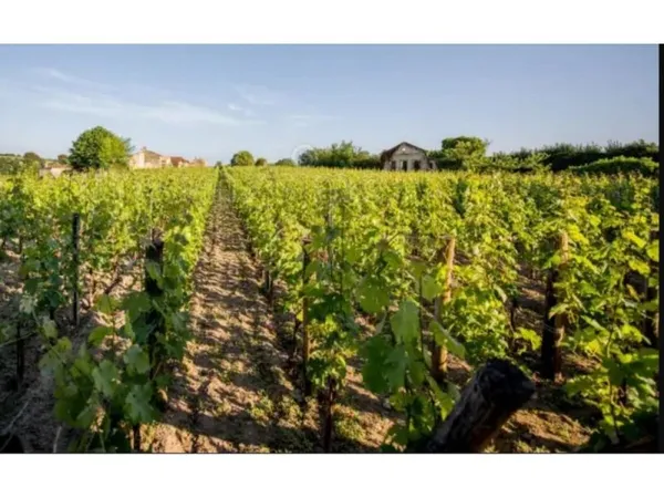 Bien agricole et foncier Vente Saint-Sulpice-de-Faleyrens  48012m² 622800€