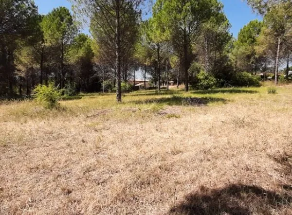 Terrain 500 m² Roquebrune Sur Argens