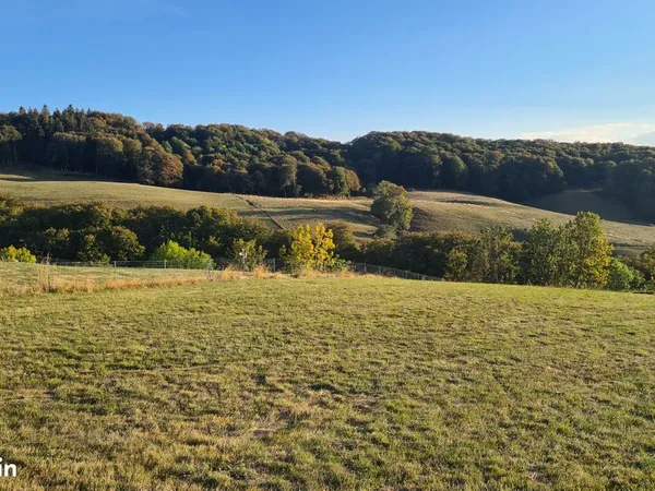 Terrain à vendre à Marcenat (15)
