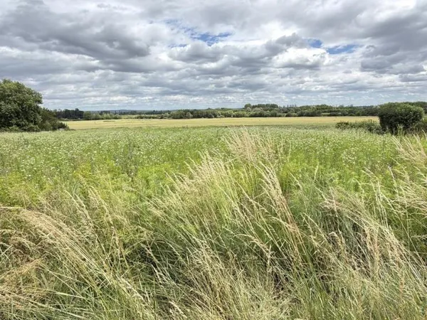 Terrain 797 m²