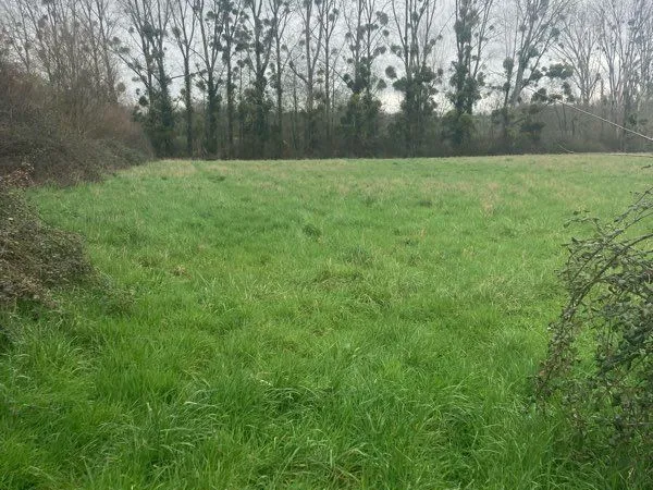 À vendre terrain constructible 2000m2 à Blancafort 18