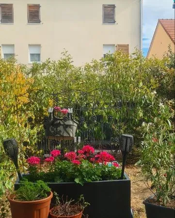 Rez de jardin appartement