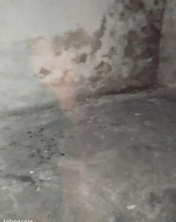 A vendre cave