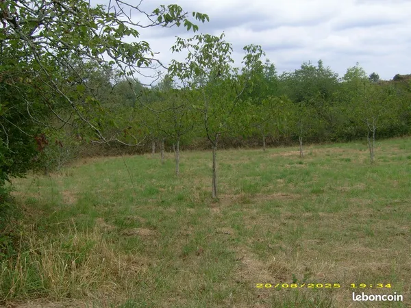 Terrain constructible