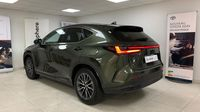 Lexus Nx 450h+ Luxe 4WD MY24 — photo 7