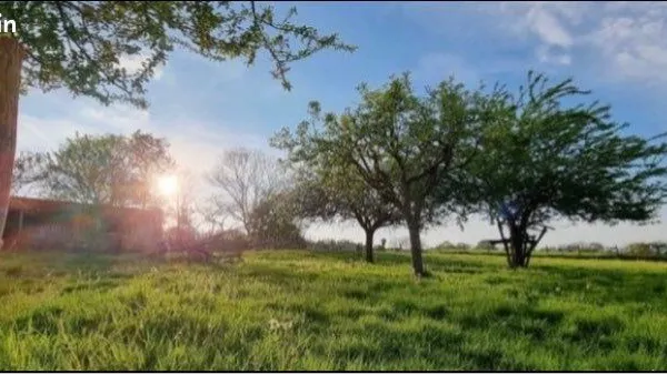 Colocation au calme à la campagne