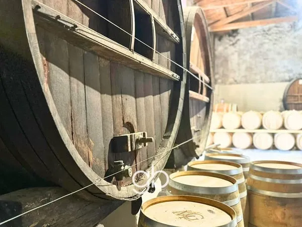 Domaine Viticole À Vendre Près De Sommières 58,78 Hectares, Vignoble, Hébergements Et Réception