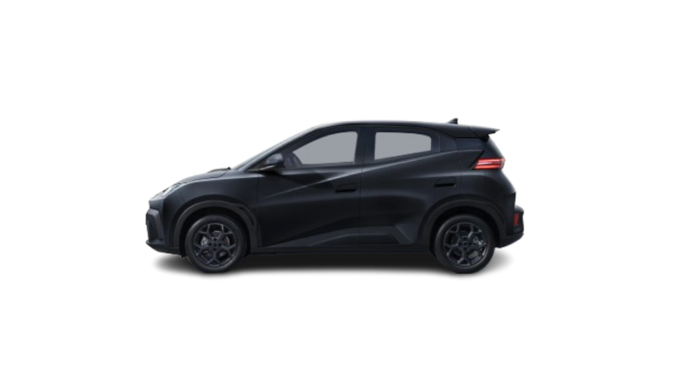BYD Dolphin Surf 30 kWh 88 ch — photo 2